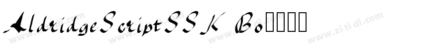 AldridgeScriptSSK Bo字体转换